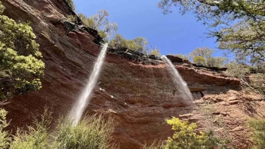 Close-up-of-Carmichael-Falls’-water-cascading-into-a-rocky-alpine-stream