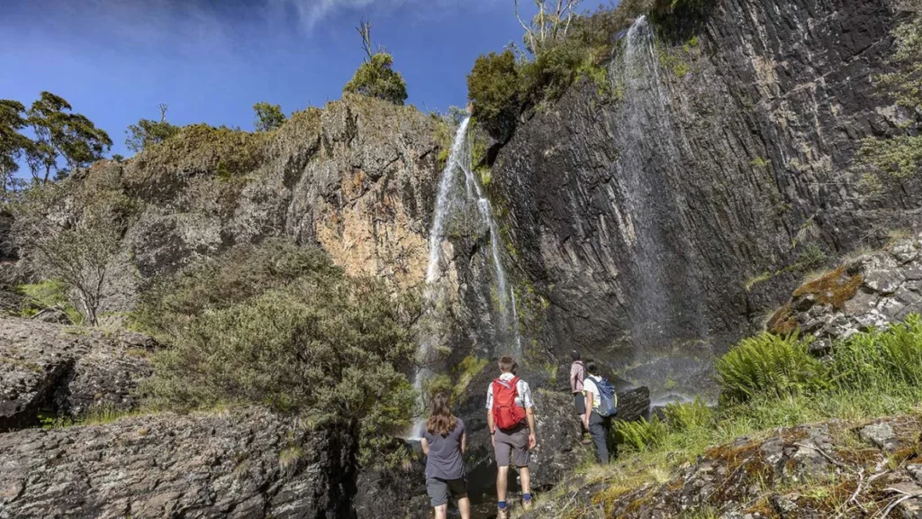 Hiking-trail-to-Carmichael-Falls-surrounded-by-snowgum-trees-and-alpine-vegetation
