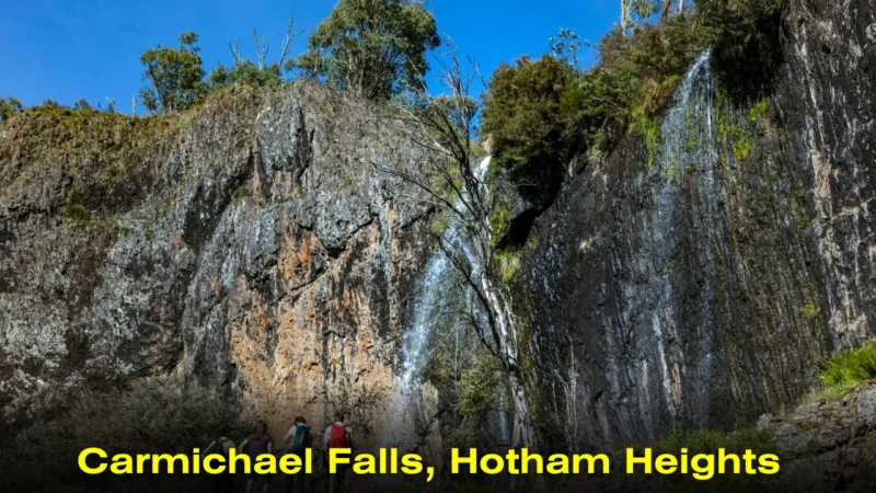 Carmichael-Falls-twin-cascades-flowing-over-basalt-cliffs-in-Victoria’s-High-Country