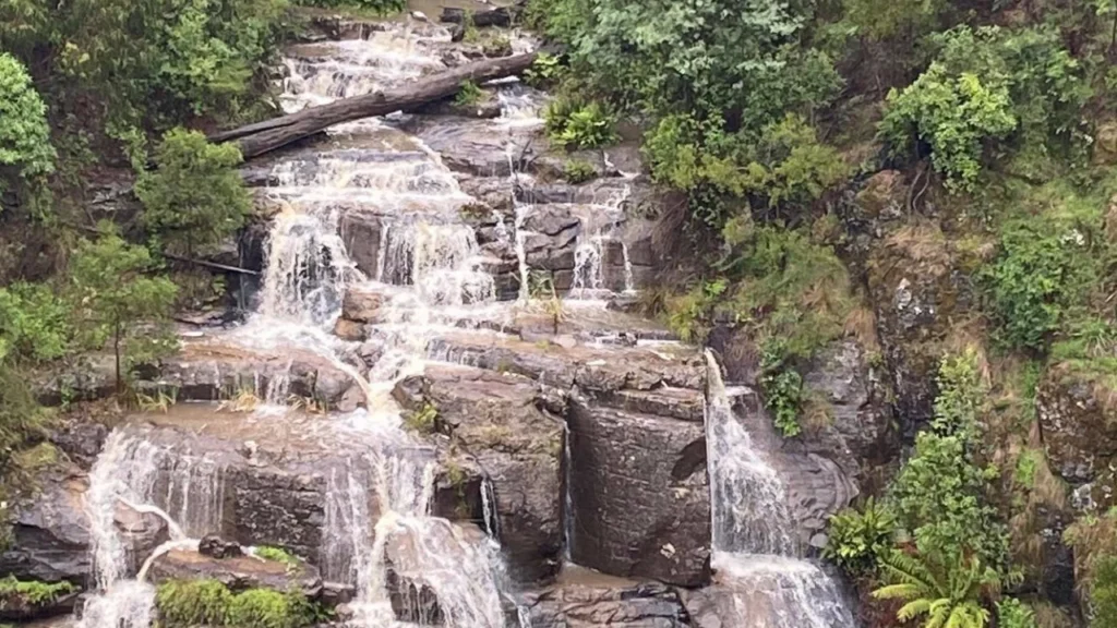 Forest-covered-path-leading-to-Wilhelmina-Falls-in-Murrindindi-Scenic-Reserve