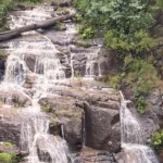 Forest-covered-path-leading-to-Wilhelmina-Falls-in-Murrindindi-Scenic-Reserve