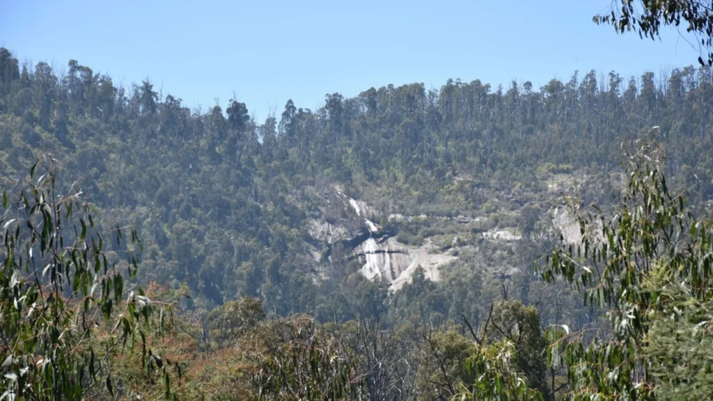 Panoramic-landscape-view-of-Wilhelmina-Falls-surrounded-by-green-forest