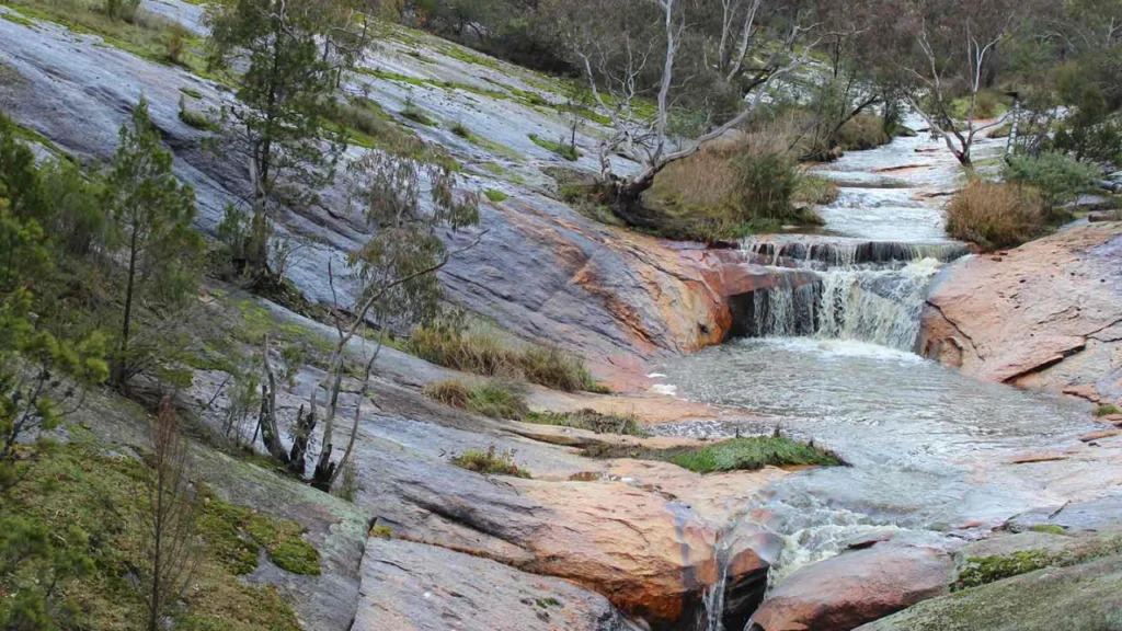 woolshed falls beechworth waterfall surrounded by lush australian bushland