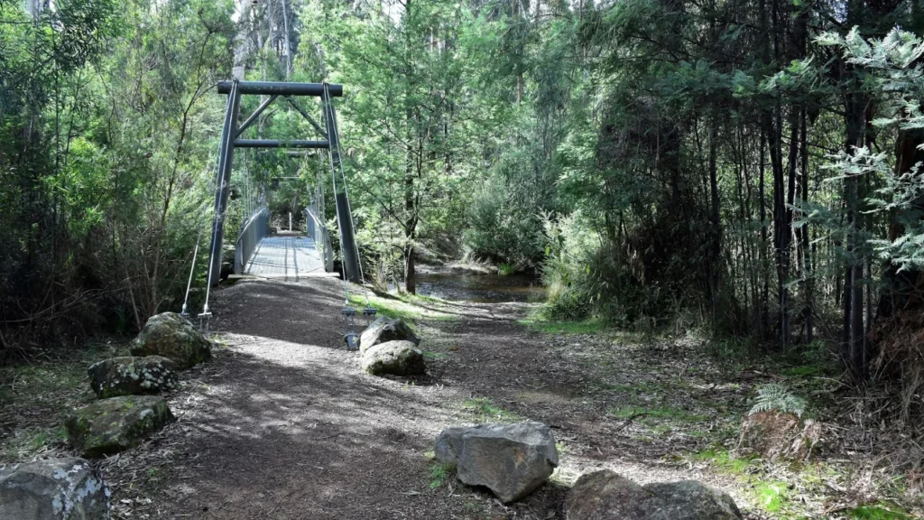 Rocky-path-leading-through-forest-toward-Wilhelmina-Falls-waterfall
