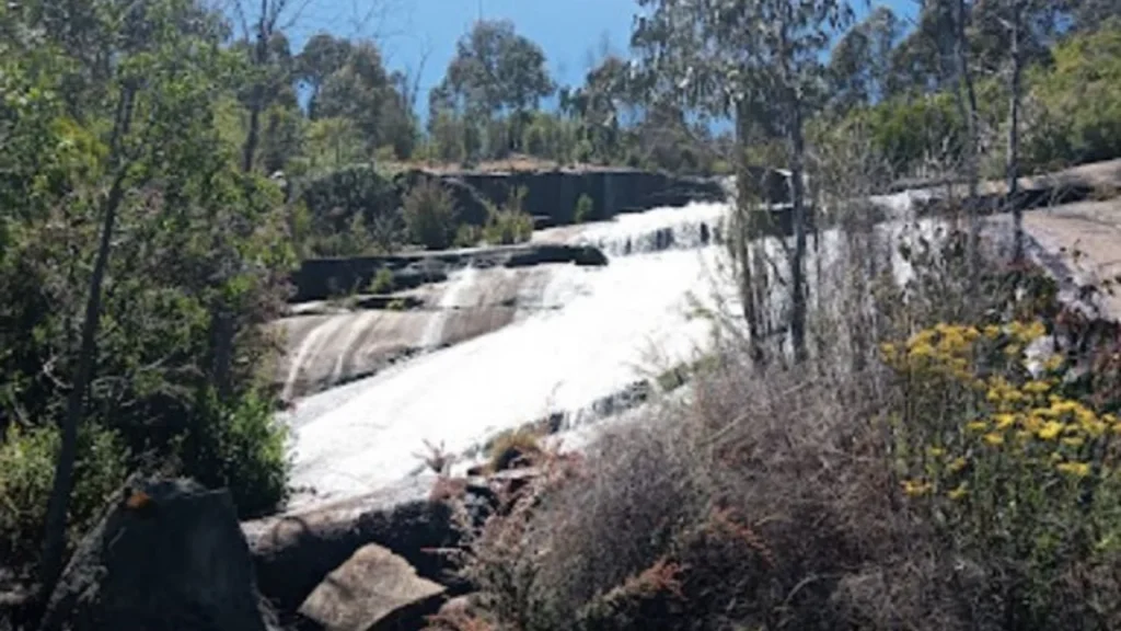 Forest-covered-path-leading-to-Wilhelmina-Falls-in-Murrindindi-Scenic-Reserve