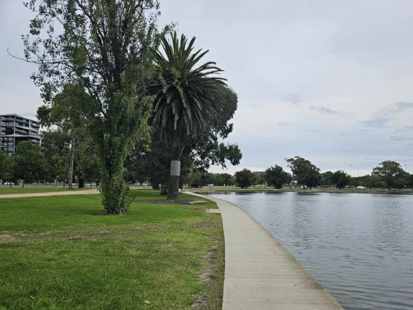 Flat-pram-friendly-walk-around-Albert-Park-Lake-with-birds-and-playgrounds.