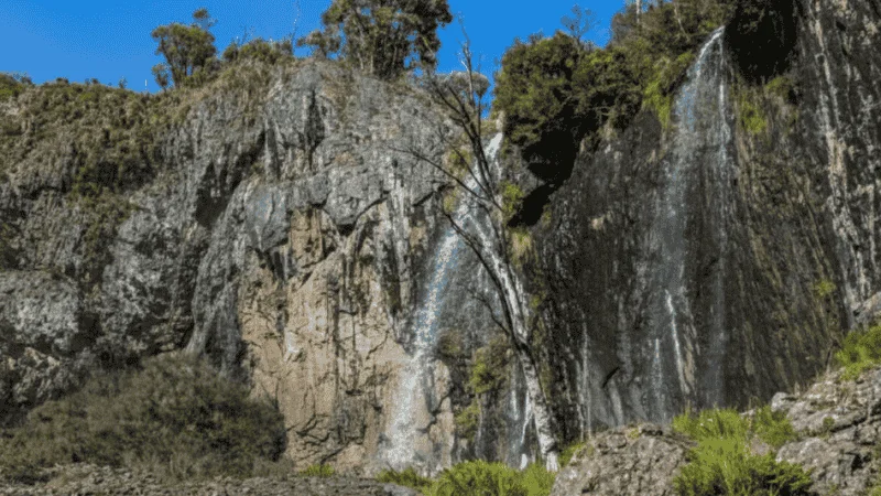 The twin cascades of Carmichael Falls near Dinner Plain, surrounded by alpine forest.