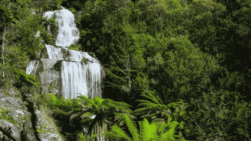 Fainter Falls surrounded by alpine forest near Mount Beauty Victoria.