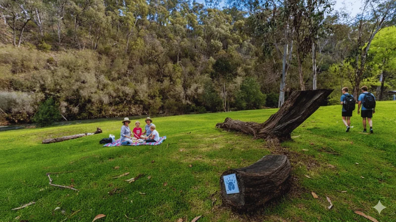 jamieson-paw-prints-walk-river-trail-victoria