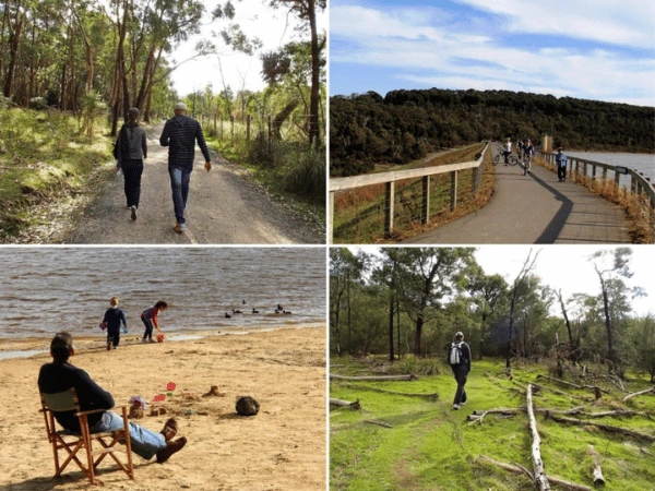 Peaceful-lake-trail-at-Lysterfield-Park-with-kangaroos-and-scenic-water-views.