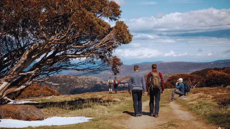 mt-higgi-lookout-walk-mt-hotham-alpine-views-victoria