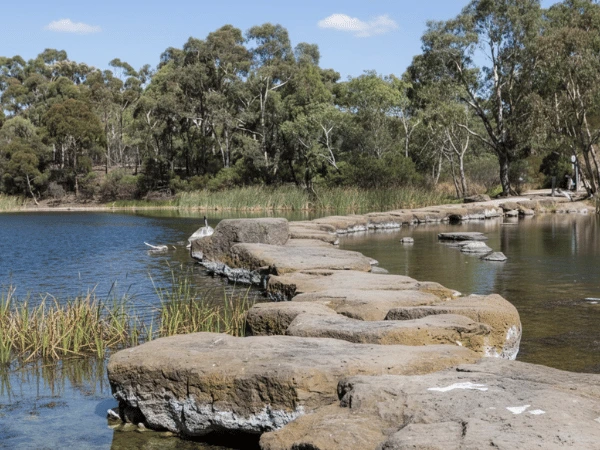 Shaded-forest-trail-with-small-waterfall-and-wooden-steps-at-Olinda-Falls.