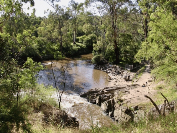 Scenic-Yarra-River-trail-at-Warrandyte-State-Park-with-bushland-and-family-hikers.