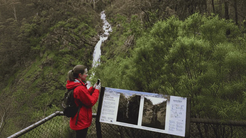 Strath Creek Falls plunging into a rocky gorge in Mount Disappointment Victoria.