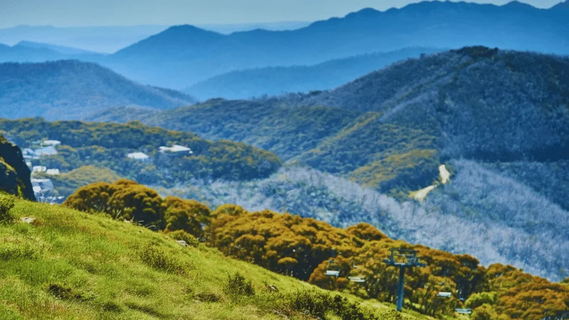 summit-nature-walk-mt-buller-alpine-trail-victoria