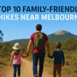 Family-hiking-together-on-a-peaceful-forest-trail-near-Melbourne-with-trees-and-sunlight-filtering-through.