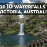 Beautiful waterfall surrounded by lush greenery in Victoria, Australia with text reading Top 10 Waterfalls in Victoria, Australia.