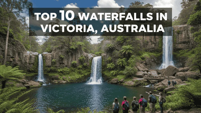 Beautiful waterfall surrounded by lush greenery in Victoria, Australia with text reading Top 10 Waterfalls in Victoria, Australia.