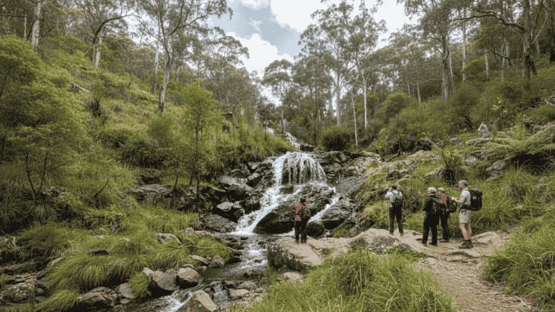 Wild Dog Falls in Mount Samaria State Park surrounded by forest and rocky terrain.