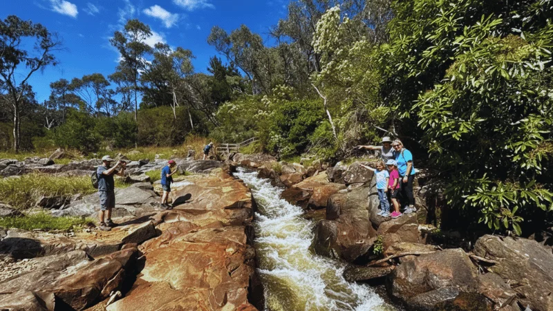 yackandandah-gorge-scenic-walk-creekside-trail-victoria
