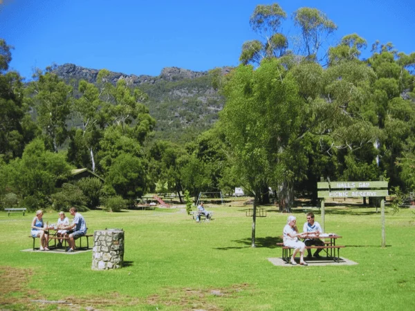 Picnic-area-with-view-of-Grampians-mountains-and-tall-gum-trees