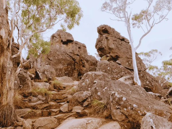 Picnic-spot-below-rock-formations-at-Hanging-Rock-Reserve-Victoria