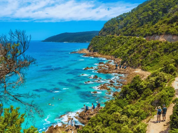 Scenic walking trail along Lorne Foreshore with ocean views and surrounding greenery