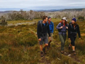 Hikers walking along the Aqueduct Trail at Falls Creek surrounded by alpine grasslands in Victoria’s High Country