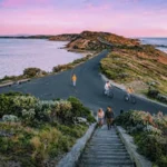Wide view of Point Nepean National Park showing coastal road, headland, and ocean scenery
