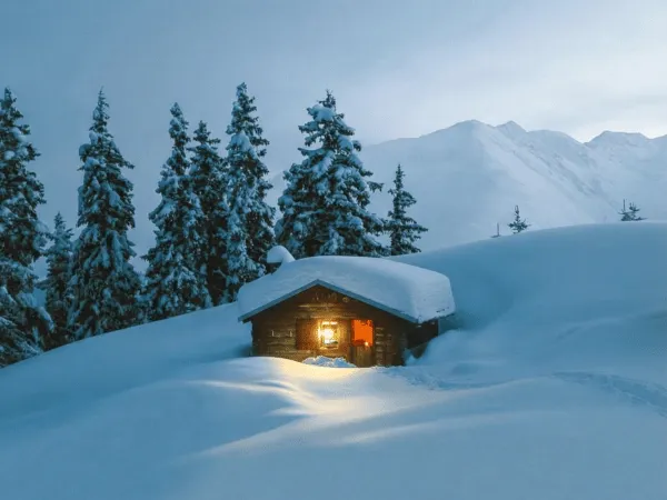Isolated wooden cabin surrounded by snow and pine trees in Switzerland