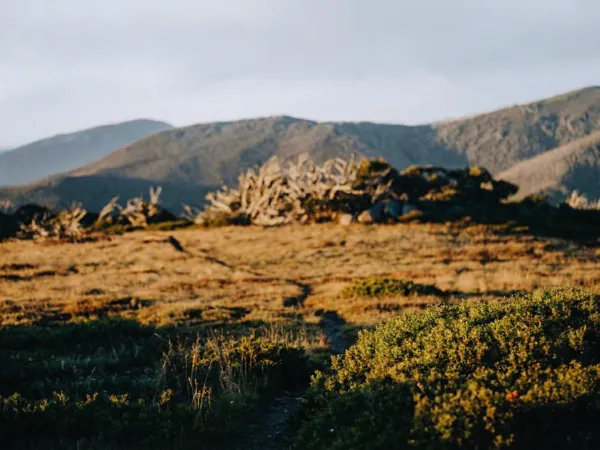 Alpine scenery along the Aqueduct Trail at Falls Creek with mountain views and native vegetation