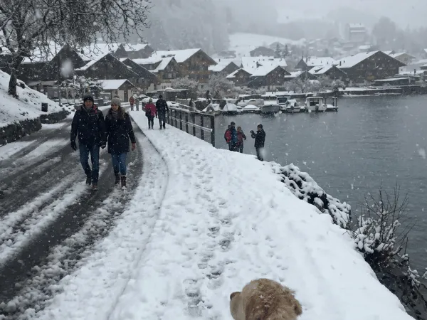 Snowfall at Lake Brienz with village and mountains in winter