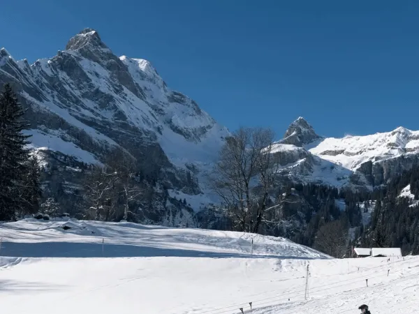 Snow-covered mountains and valleys in the Swiss Alps during winter