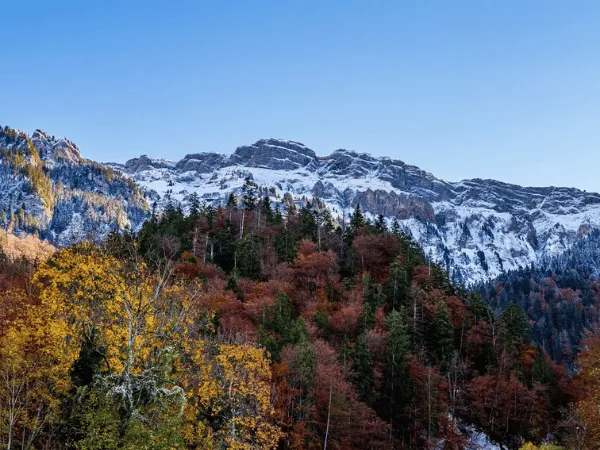 Snowy forests and mountains near Lake Brienz during winter