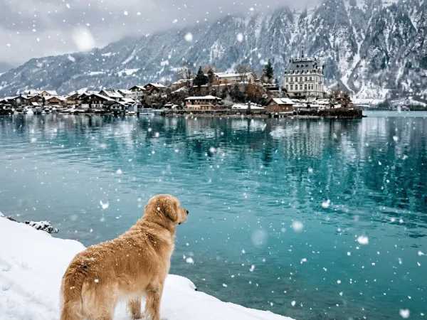 Snowfall at Lake Brienz with village and mountains in winter