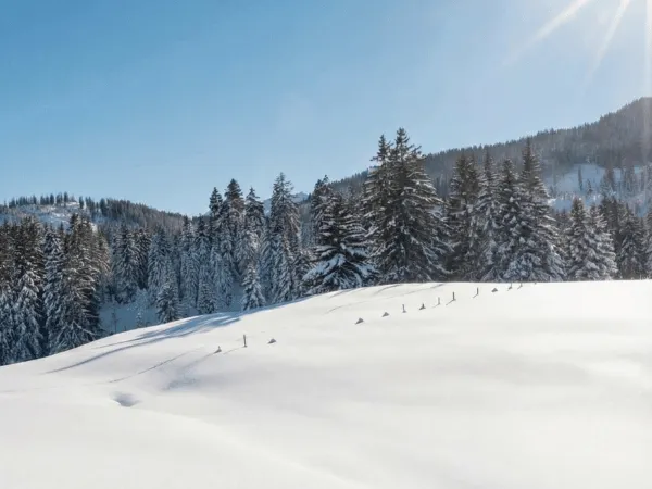Vast snow-covered fields and hills in the Swiss Alps during winter