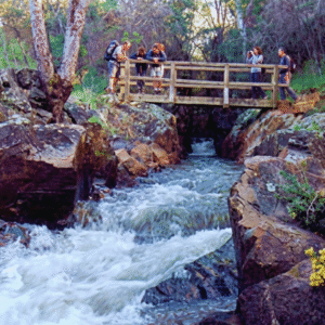 Visitors crossing a wooden footbridge at Yackandandah Gorge Scenic Walk