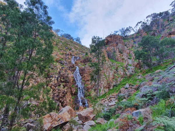 Wide-angle photo of Jubilee Falls flowing through Brien’s Gorge with dense greenery around it.