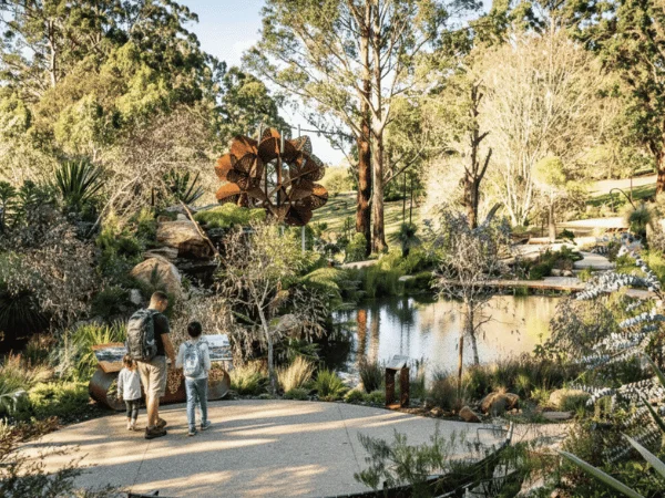 Panoramic view of Dandenong Ranges from a high lookout