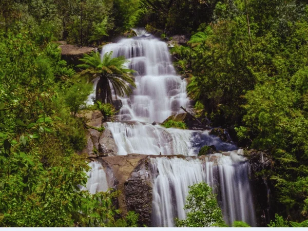 Detailed close-up of Fainter Falls cascading over mossy rocks in Alpine National Park.