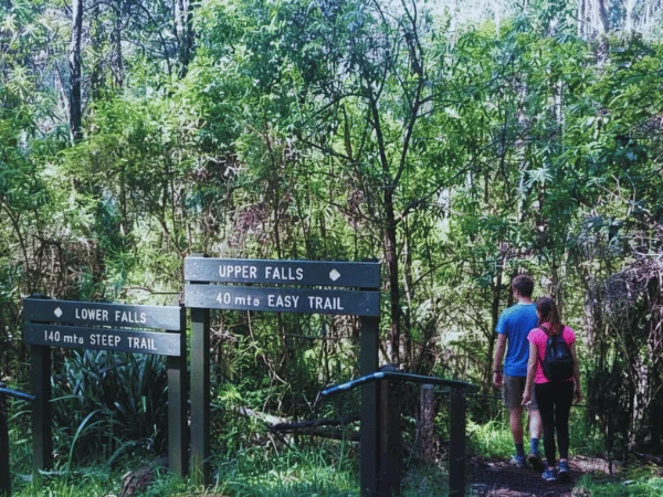 A small waterfall at Olinda Falls Walk with lush green surroundings