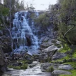 Pine Gully Falls cascading fully into a forested gully with granite rocks.