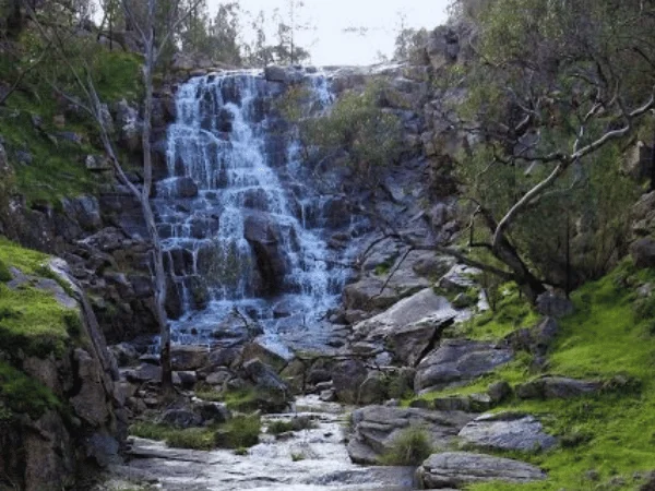Pine Gully Falls cascading fully into a forested gully with granite rocks.