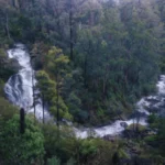 Wide-angle photo showing Rubicon Falls and the surrounding forest scenery in Victoria.