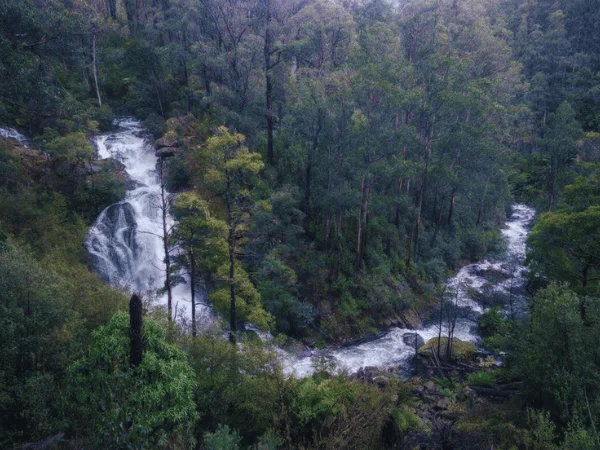 Wide-angle photo showing Rubicon Falls and the surrounding forest scenery in Victoria.