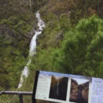 Wide-angle photo of Strath Creek Falls showing the waterfall and surrounding bushland.