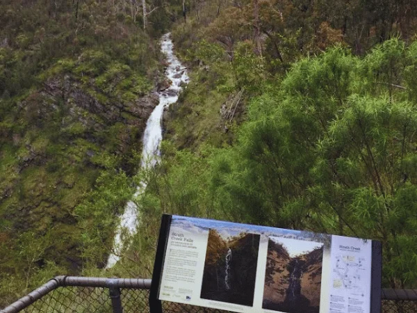 Wide-angle photo of Strath Creek Falls showing the waterfall and surrounding bushland.