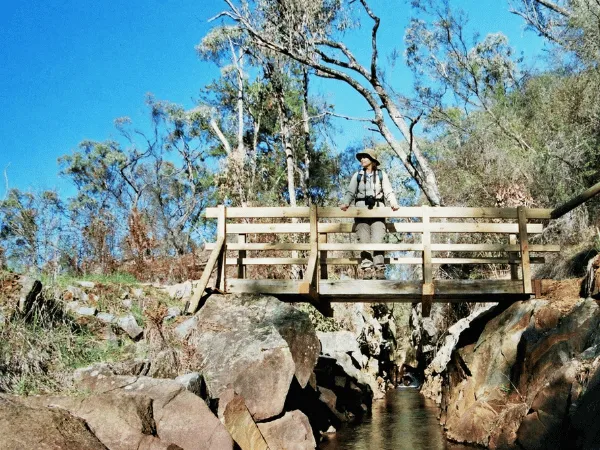 rustic-wooden bridge-built over-a rocky-creek along-the trail