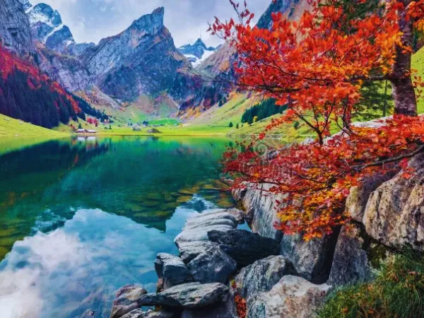 seealpsee-lake-alpstein-switzerland-autumn-reflection