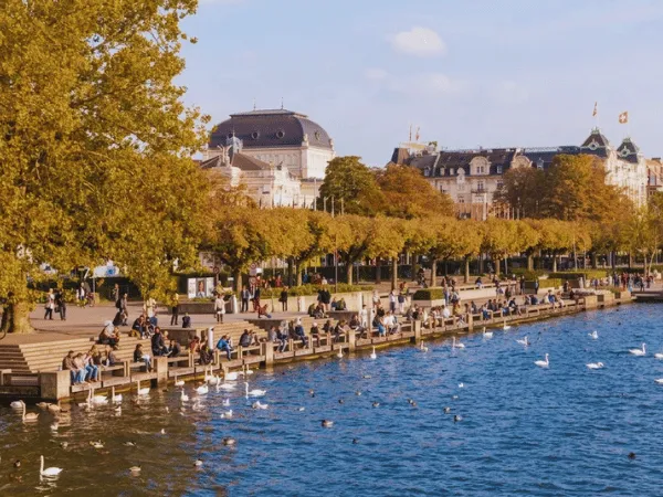 people-relaxing-on-lake-zurich-promenade-in-autumn-with-white-swans-on-the-water-and-golden-trees-lining-the-path